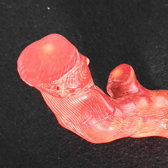 Rare Antique 575 Carat (115 gram) Natural Mediterranean Red Coral Branch - Picture 8 of 11